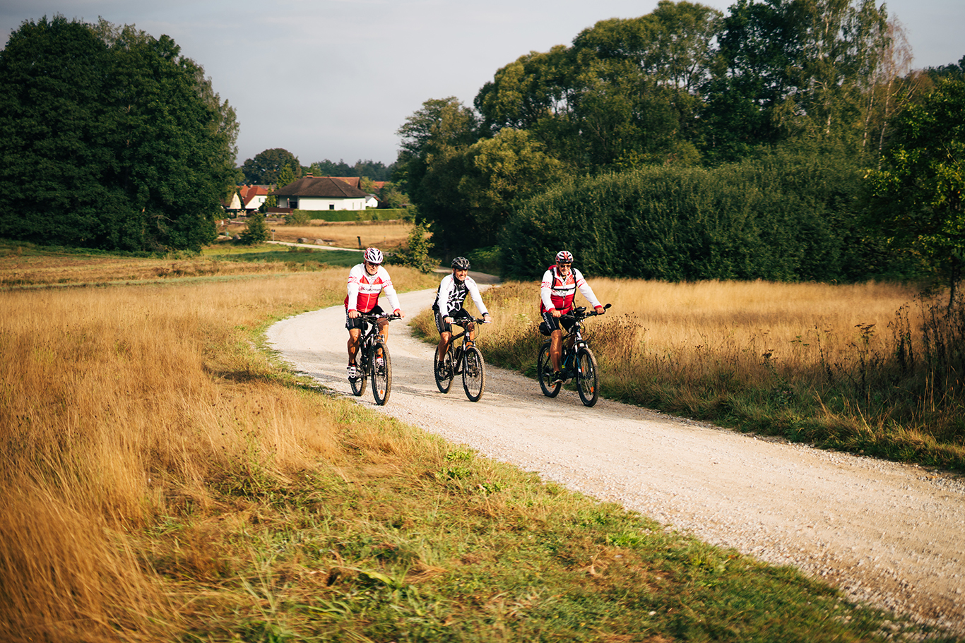 Top-Radroute Iron Curtain Trail I EuroVelo 13 Im Waldviertel